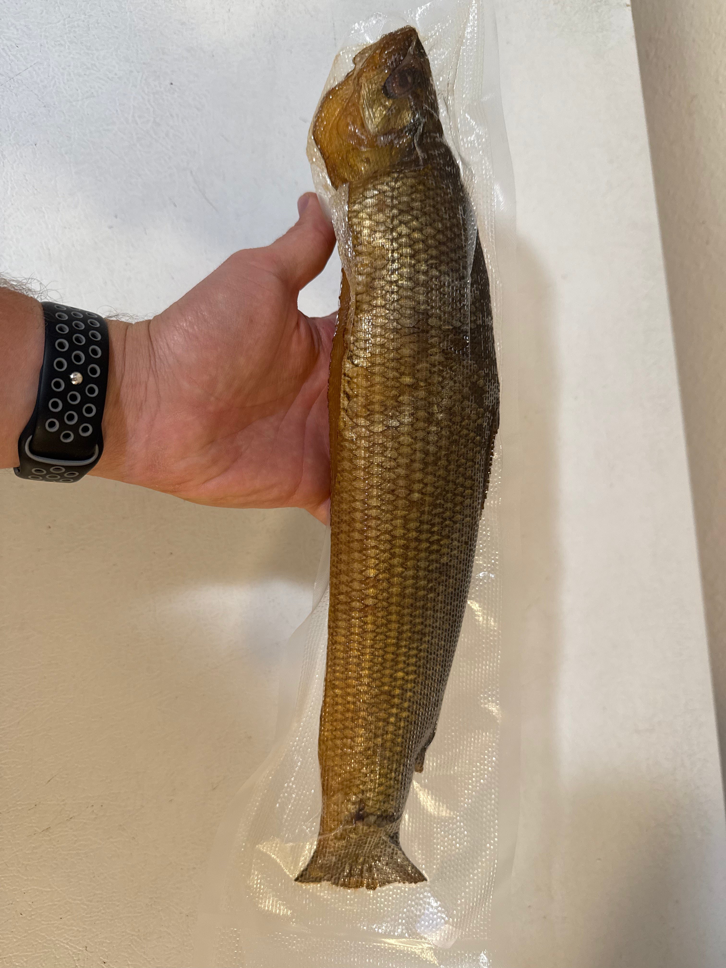 Cold Smoked Muksun (Муксун холодного копчения)