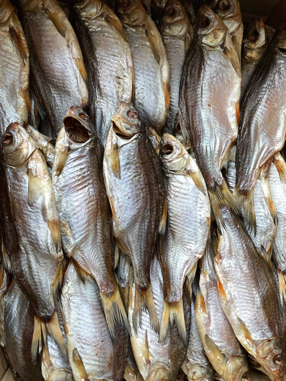 Dried Taran Medium with caviar (Вяленая Тарань с икрой 100%) 2pcs in a Pack 500g