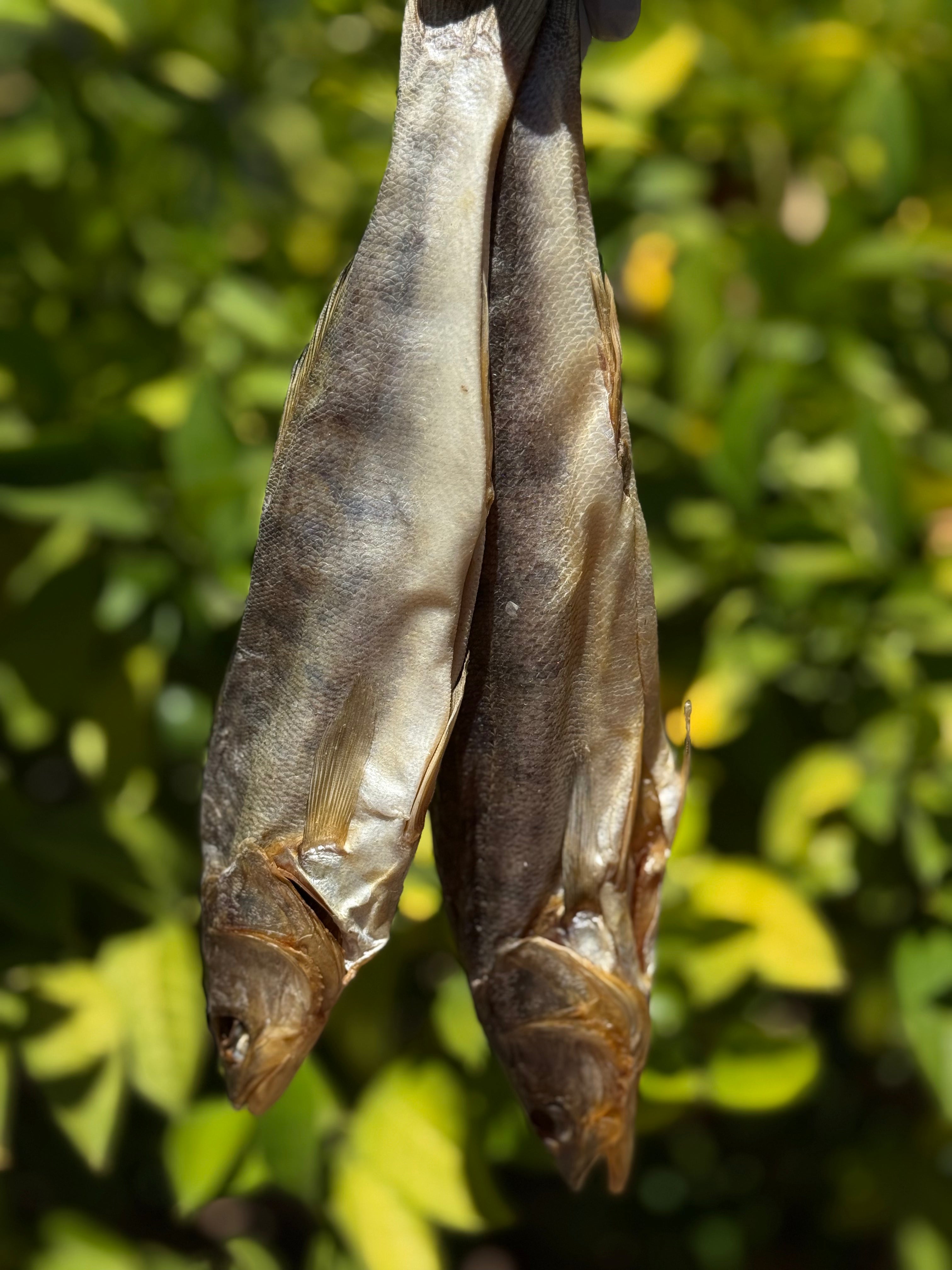 Dried Sudak (Судак Вяленый Потрошеный)