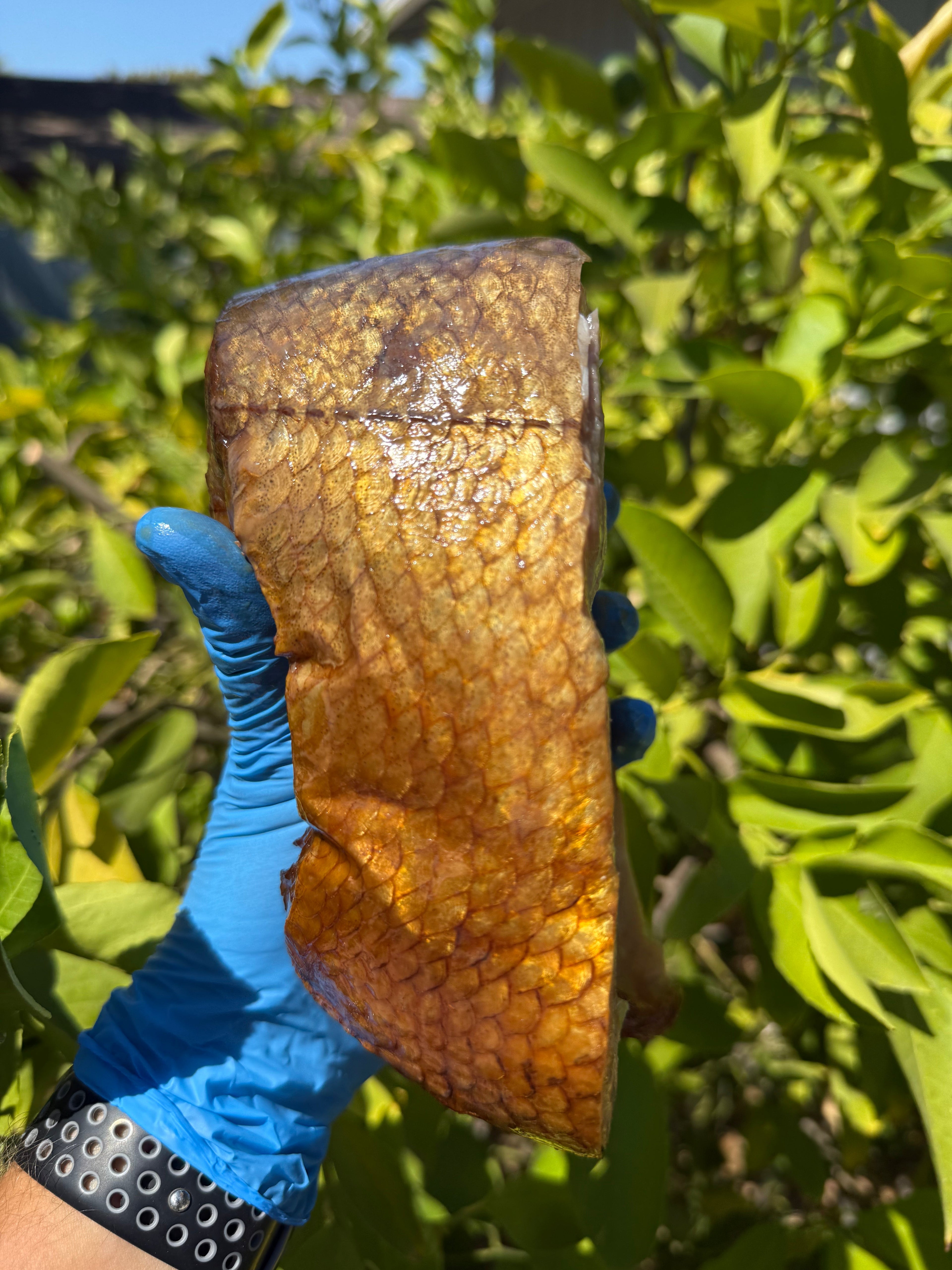 Cold-smoked Nelma steaks (Стейки Нельмы х/к)