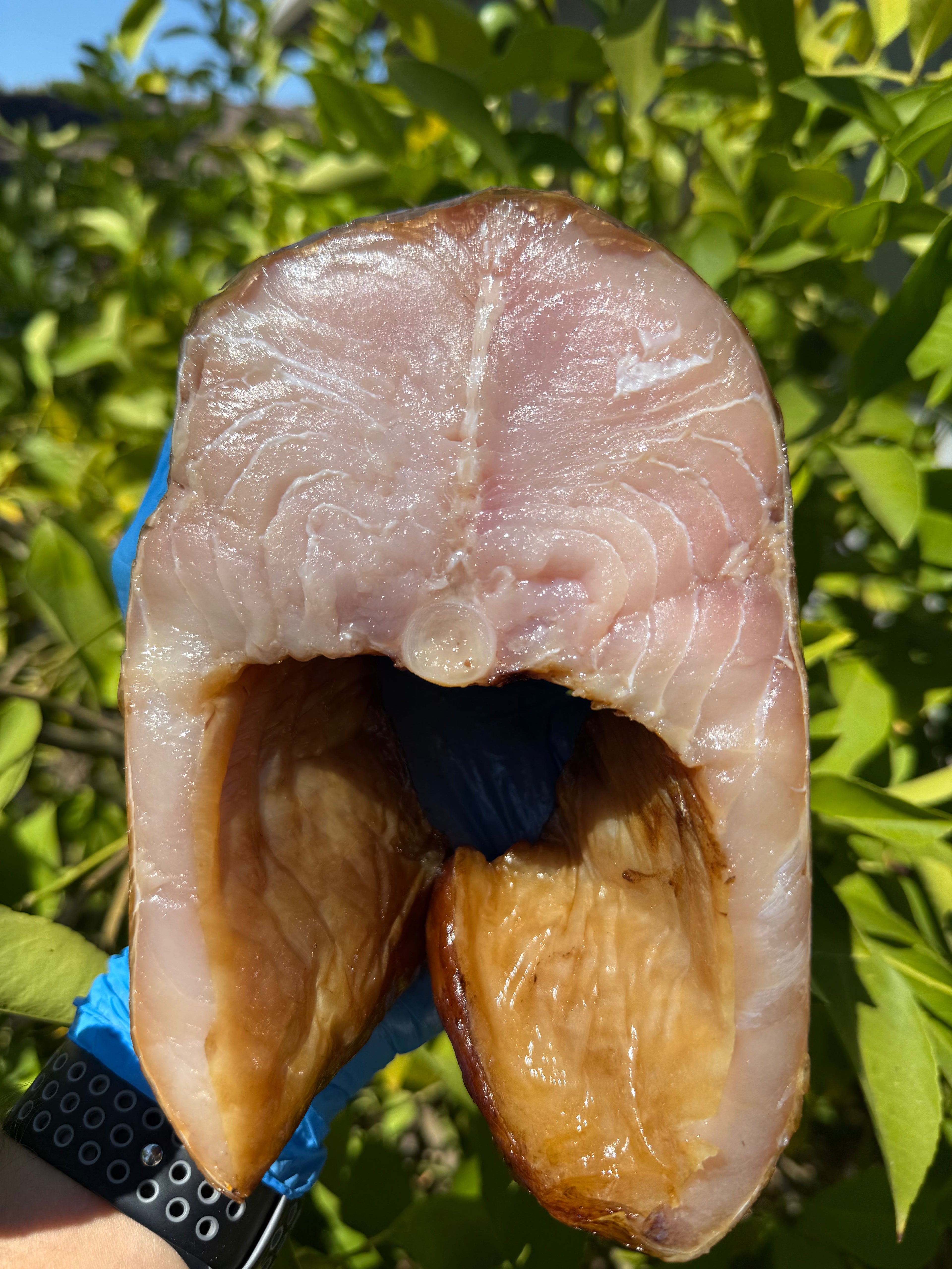 Cold-smoked Nelma steaks (Стейки Нельмы х/к)