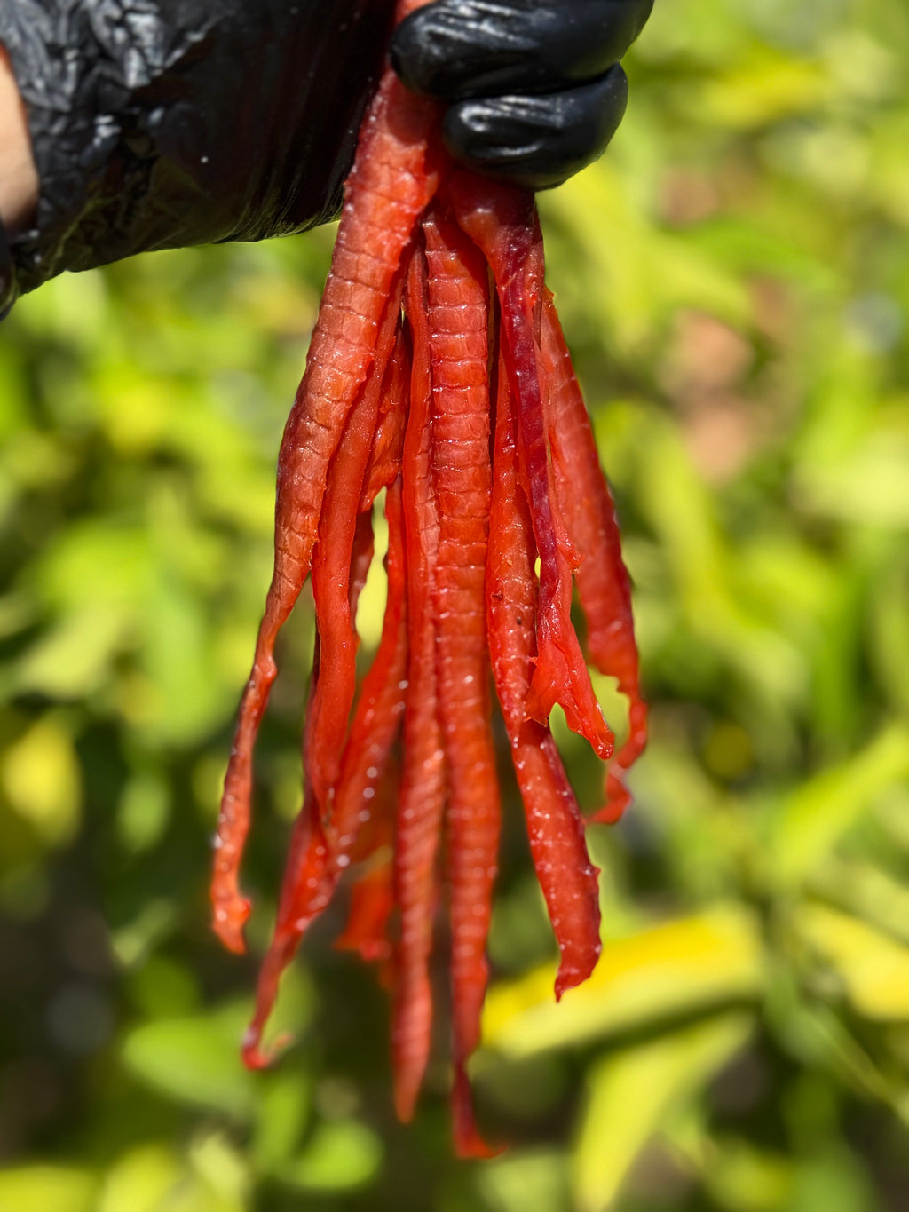 Salted Keta Straws (Вяленая Соломка Кеты)