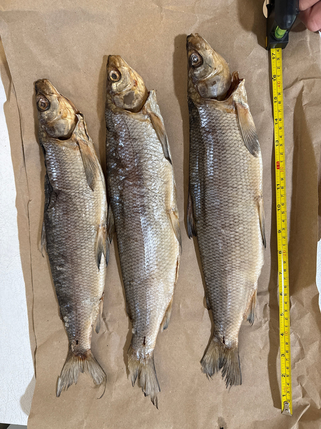 Dried WhiteFish (Сиг вяленый - сушеный)